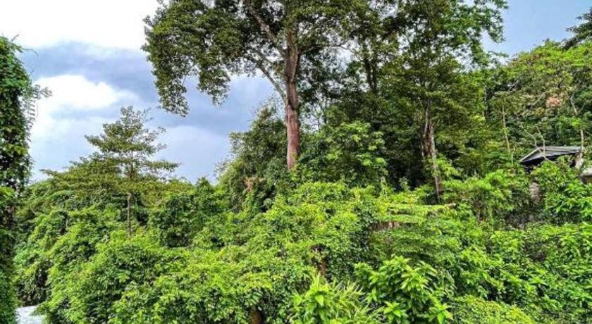 Rueangrat Hotel Ranong Luaran gambar